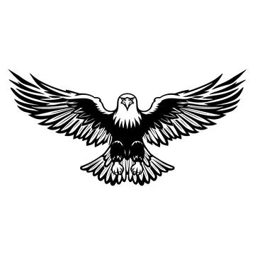 Illustration of bald eagle in black and white style. Stock Illustration