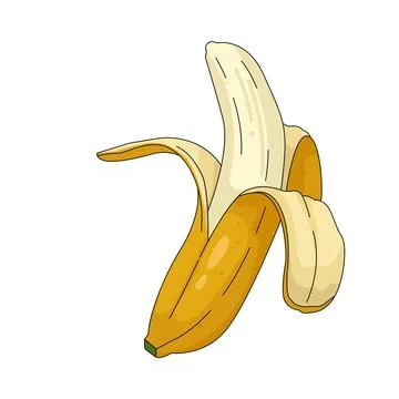 Illustration of Banana Stock Illustration