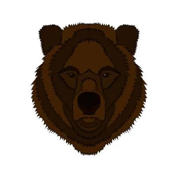 Illustration of a bear s head. Vector graphics. Hand drawing Stock Illustration