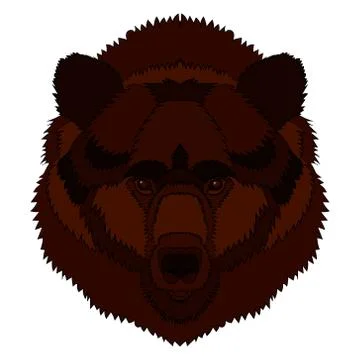 Illustration of a bear s head. Vector graphics. Hand drawing Stock Illustration
