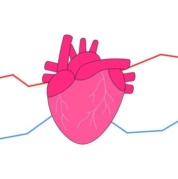 Illustration of a beating heart with graphics Stock Illustration