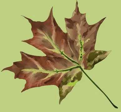 Illustration of a beautiful dried maple leaf - natural background or wallpape Stock Illustration