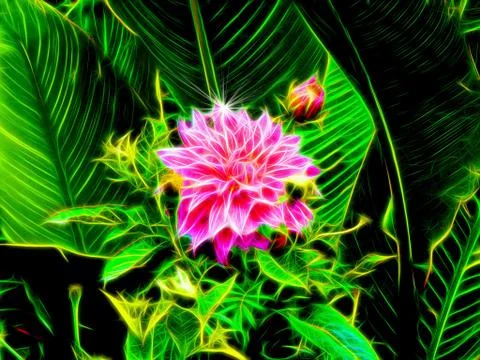Illustration of beautiful spring flowers on a black background Stock Photos