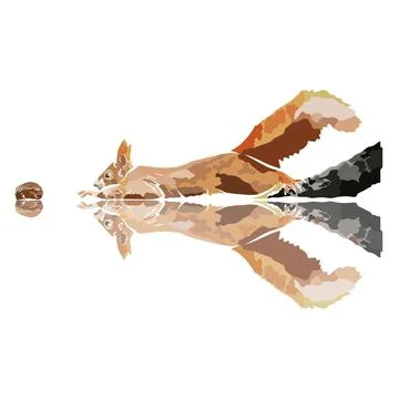 Illustration : Beautiful Squirrel Stock Illustration