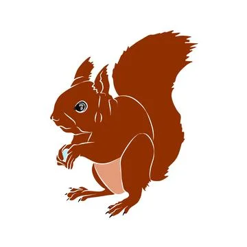 Illustration : Beautiful Squirrel Stock Illustration