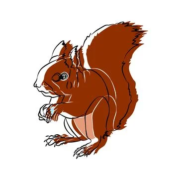 Illustration : Beautiful Squirrel Image Stock Illustration