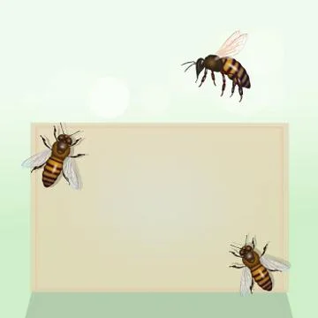 Illustration of bees Stock Illustration