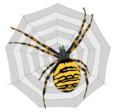 Illustration - Big spider on the  web Stock Illustration