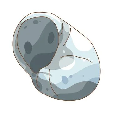 Illustration of black shell Stock Illustration