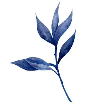 Illustration of a blue leaf with multiple pointed leaves on a white backgroun Stock Illustration