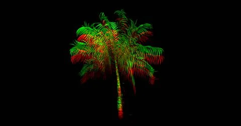 Illustration of blurred palm tree isolated against black background, copy space Stock Illustration