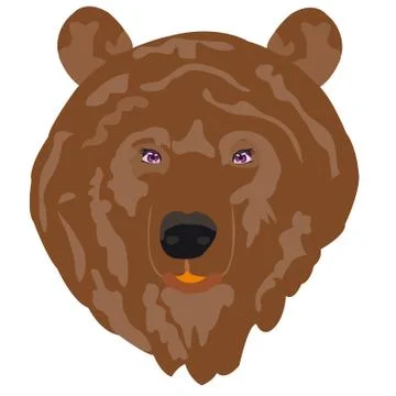 Illustration borax bear Stock Illustration