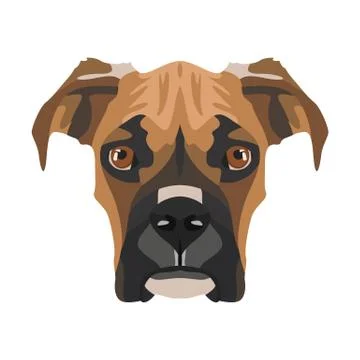 Illustration Boxer. イラスト素材