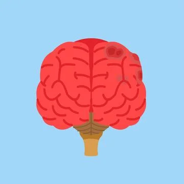 Illustration of the brain in front view with flat style Stock Illustration
