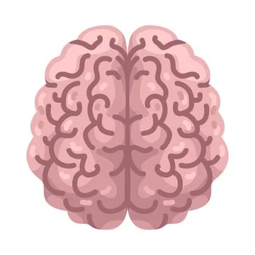 Illustration of Brain Stock Illustration