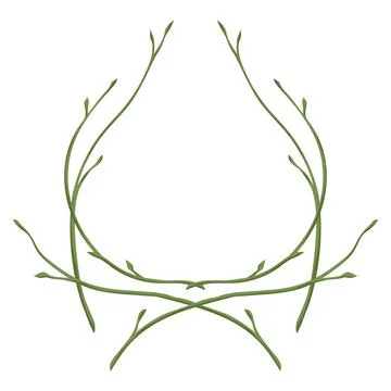Illustration of branch with buds. Background of sprigs. Spring young leaves. イラスト素材