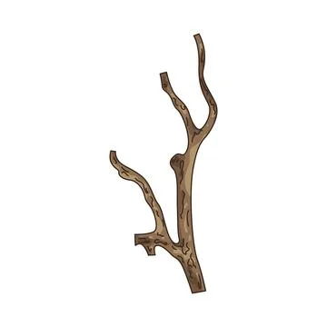 Illustration of Branch Stock Illustration