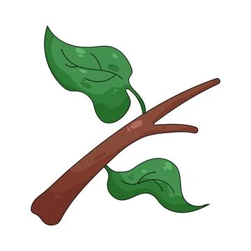 Illustration of branch Stock-Illustration