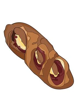Illustration of bread, sweet bun. Stock Illustration