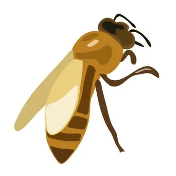 Illustration of brown bee - vector Stock Illustration
