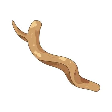 Illustration of brown branch 스톡 일러스트