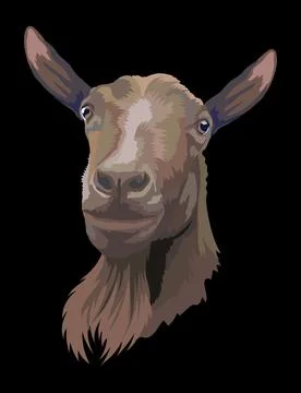 Illustration of brown goat head with a beard vector Illustrazione stock
