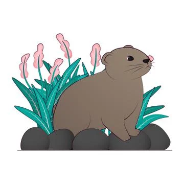 Illustration of a Brown Lemming Stock Illustration
