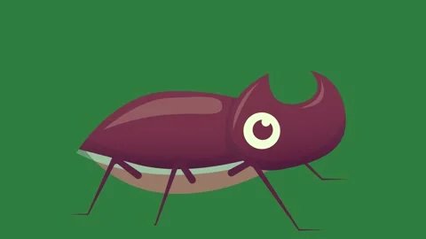 An illustration of a bug on green background and green screen animated Stock Footage 335064035
