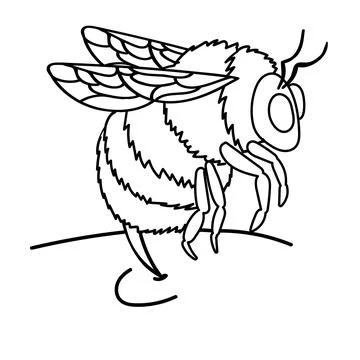 Illustration of Bumblebee Sting Illustrazione stock