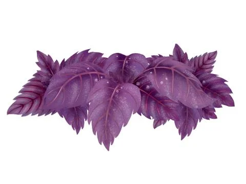 Illustration of a Bundle of red Basil Stock Illustration