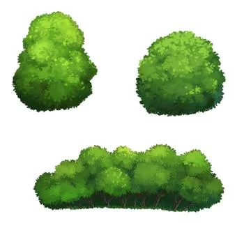 Illustration of a bush Stock Illustration
