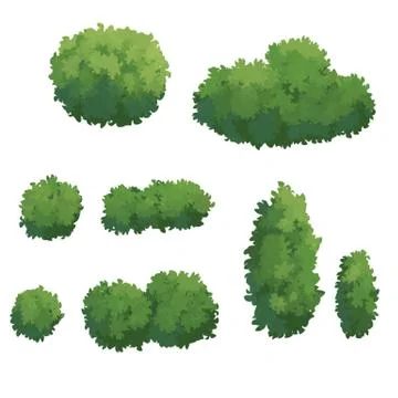 Illustration of Bush Stock Illustration