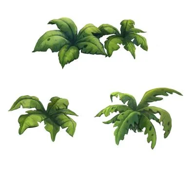 Illustration of Bush Stock Illustration