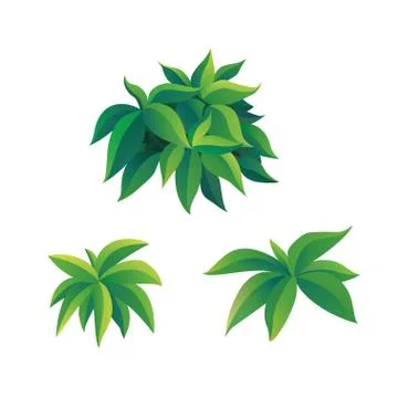 Illustration of Bush Stock Illustration