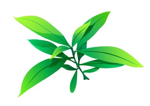 Illustration of Bush Stock Illustration