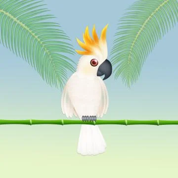 Illustration of cacatua Stock Illustration