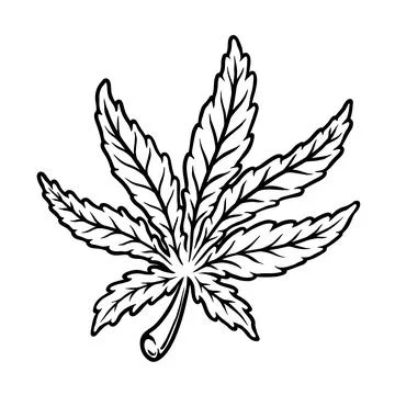 Illustration of cannabis leaf. Design element for poster, t shirt, sign. Ve.. Stock Illustration