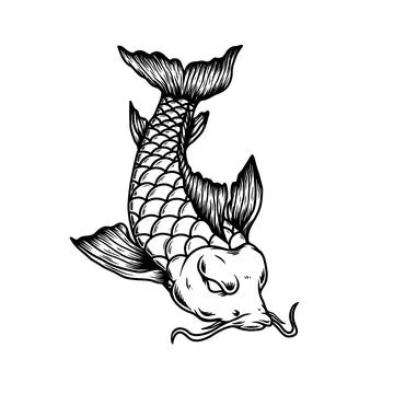 Illustration of carp koi. Design element for poster, card, banner, menu. Vect Stock Illustration
