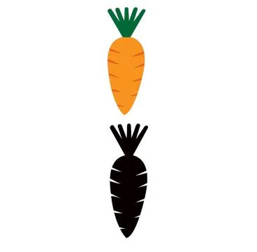Illustration of carrot fruit vector Illustration