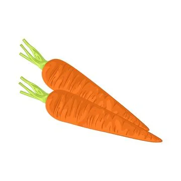 Illustration of carrot Stock Illustration