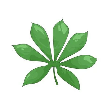 Illustration of cassava leaf Stock Illustration