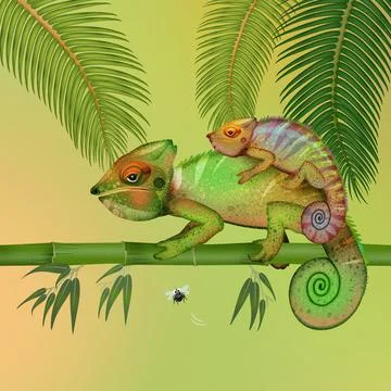Illustration of chameleons Stock Illustration