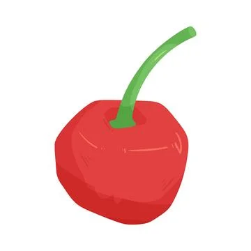 Illustration of cherry Illustrazione stock