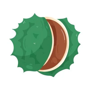 Illustration of chestnut Stock Illustration