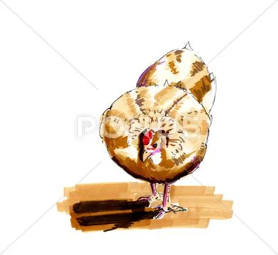 Illustration chicken Stock Illustration