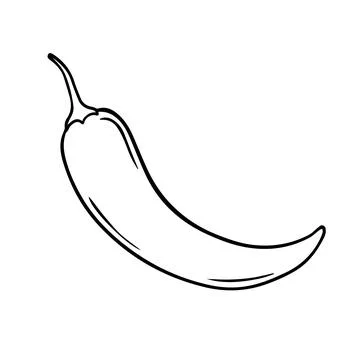 Illustration of chilli pepper in a hand-drawn style. Stock Illustration