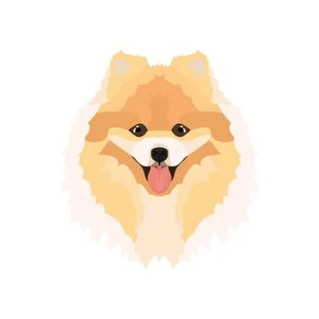 Illustration ChowChow. イラスト素材