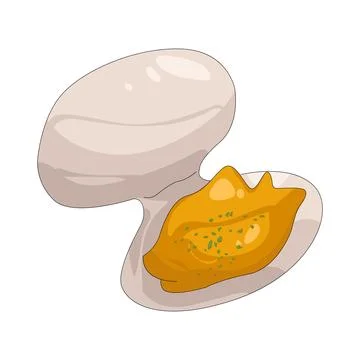 Illustration of Clam Stock Illustration