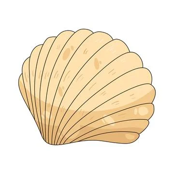 Illustration of cockle shell Stock Illustration