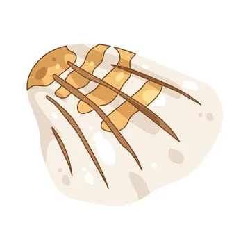 Illustration of cockle shell Illustrazione stock